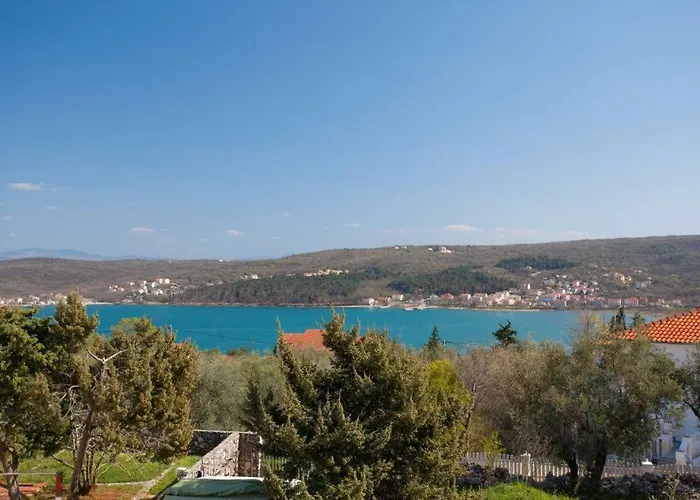 Apartman Cizici 97 A