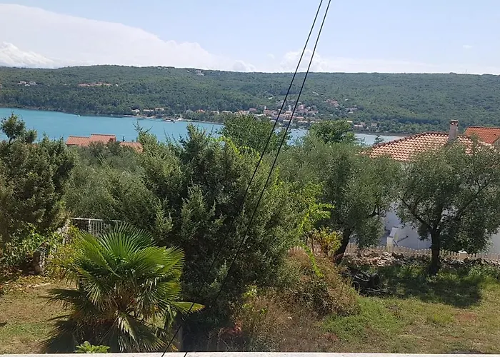 Apartman Cizici 97 A